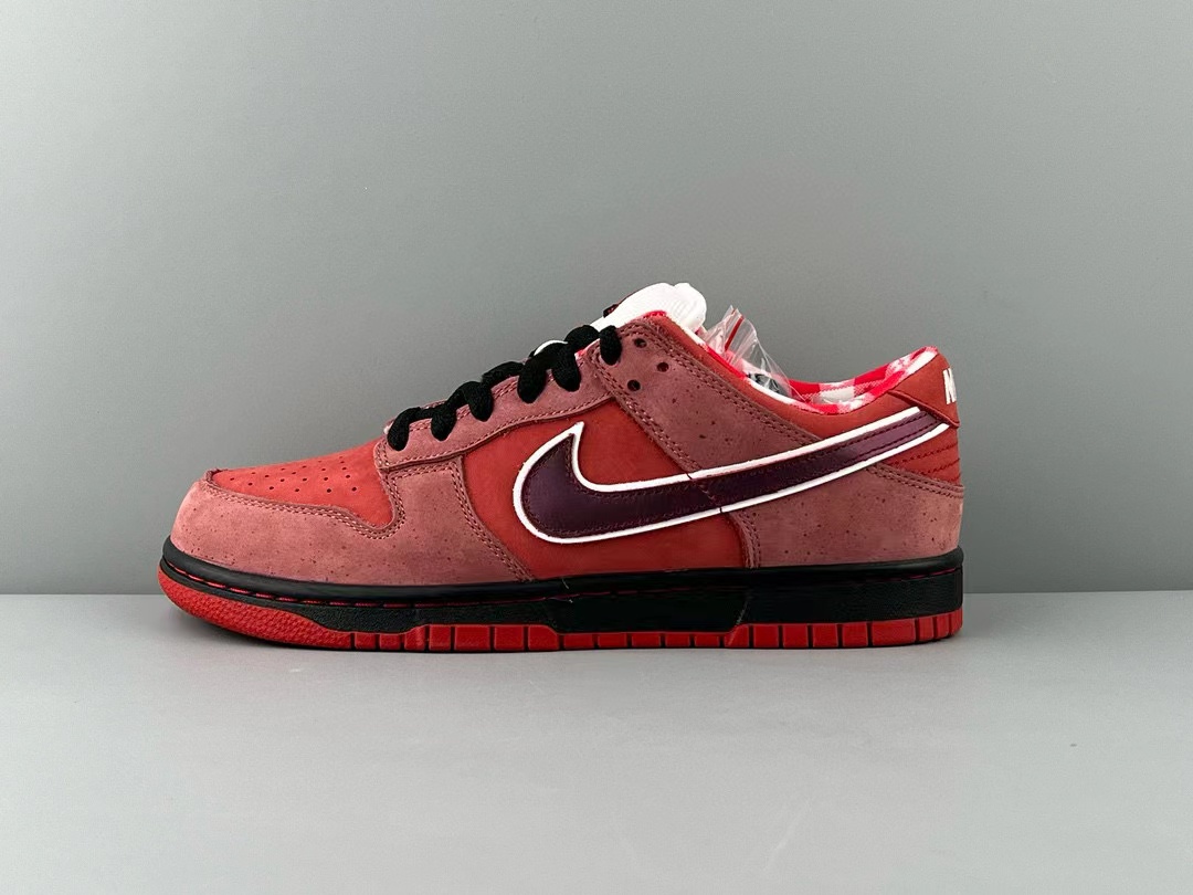 Concepts x NK SB Dunk Low