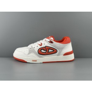 DIOR AND KAWS B57 Dribble