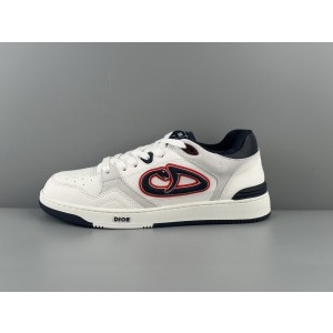 DIOR AND KAWS B57 Dribble