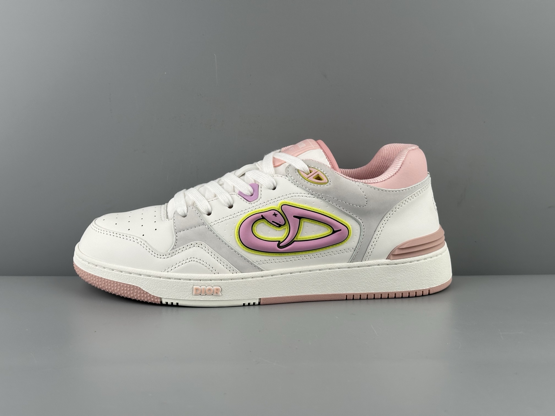 DIOR AND KAWS B57 Dribble