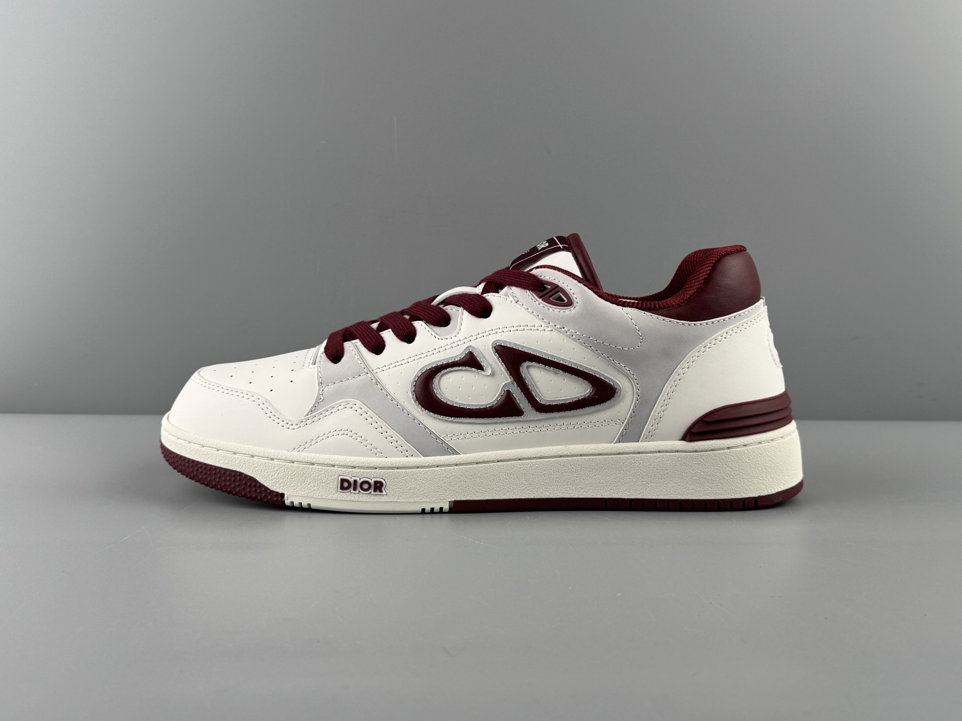 DIOR AND KAWS B57 Dribble